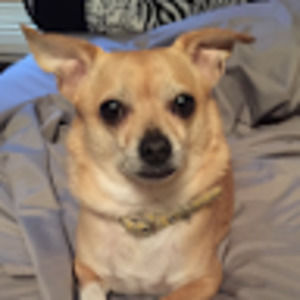 Meet your Posher, Sahrayah